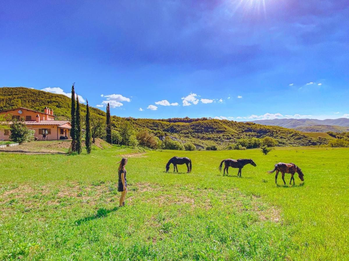Ca' Dei Lanari - 10 Min Da Assisi Apartment San Presto Bagian luar foto